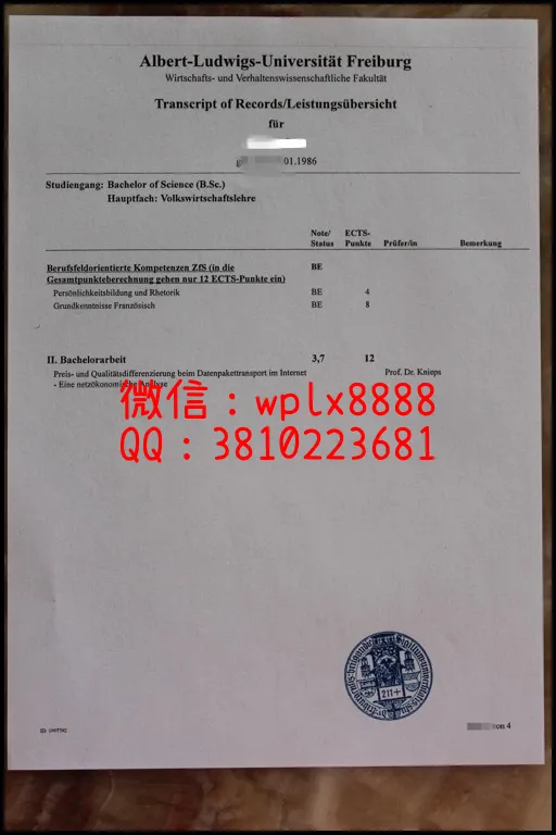 德国弗赖堡大学成绩单3_副本