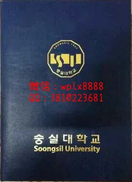 韩国崇实大学外壳