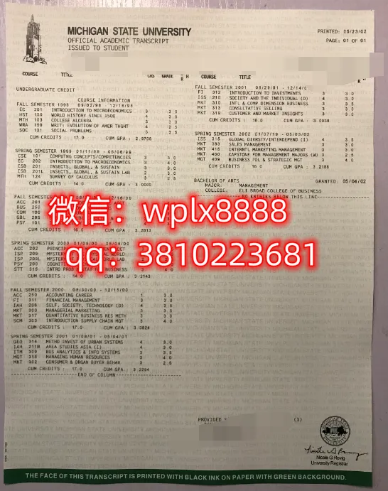 密歇根州立大学