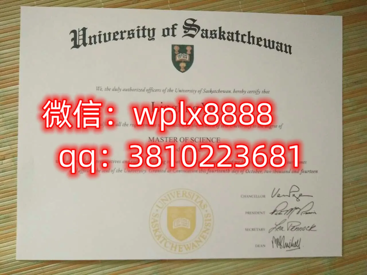 萨斯喀彻温大学