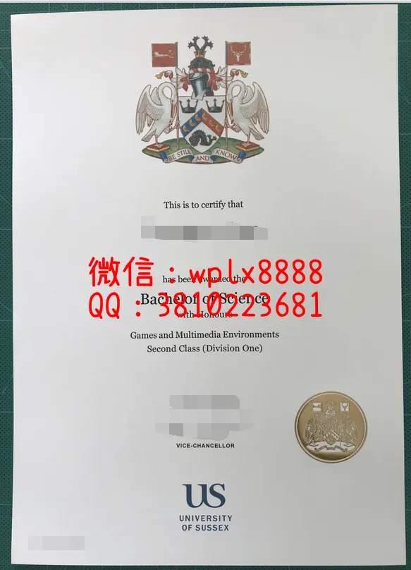 英国萨塞克斯大学毕业证