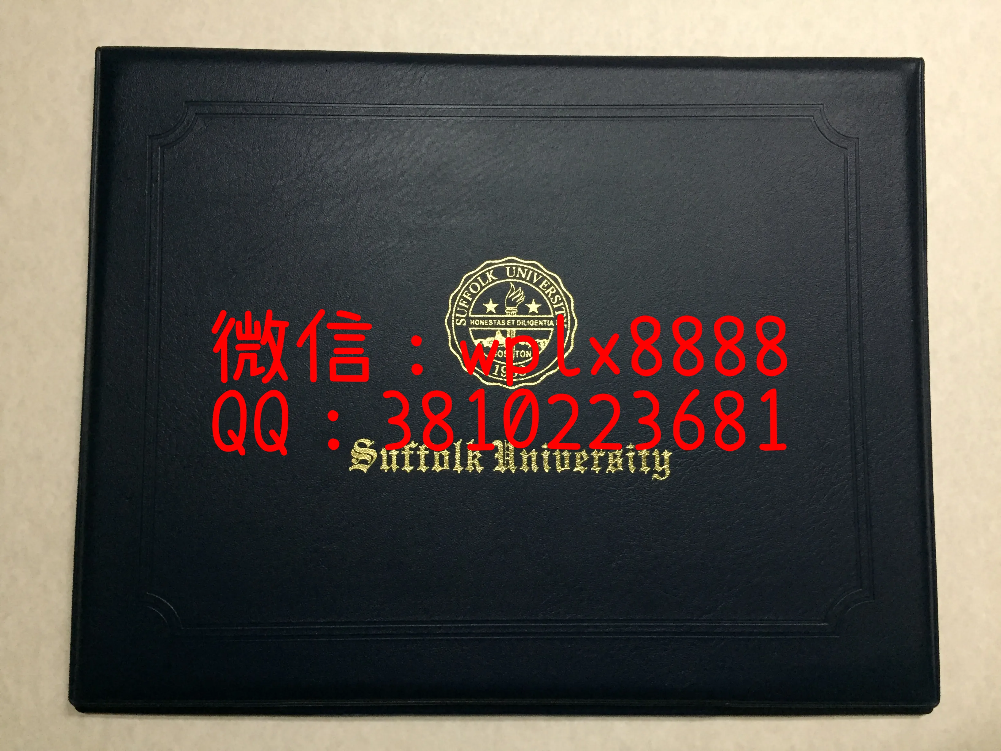 萨福克大学外壳样本实拍