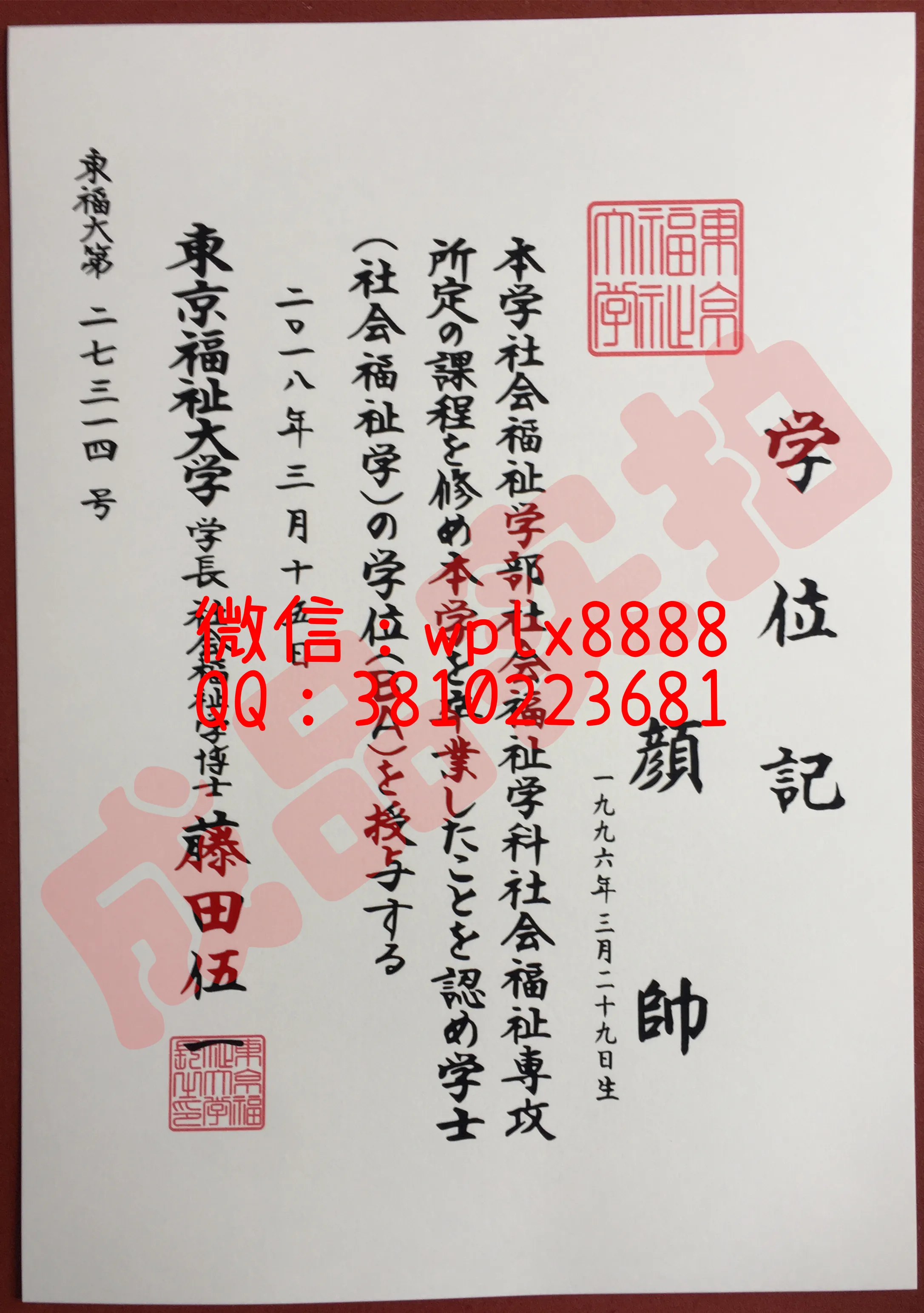 东京福祉大学-视频