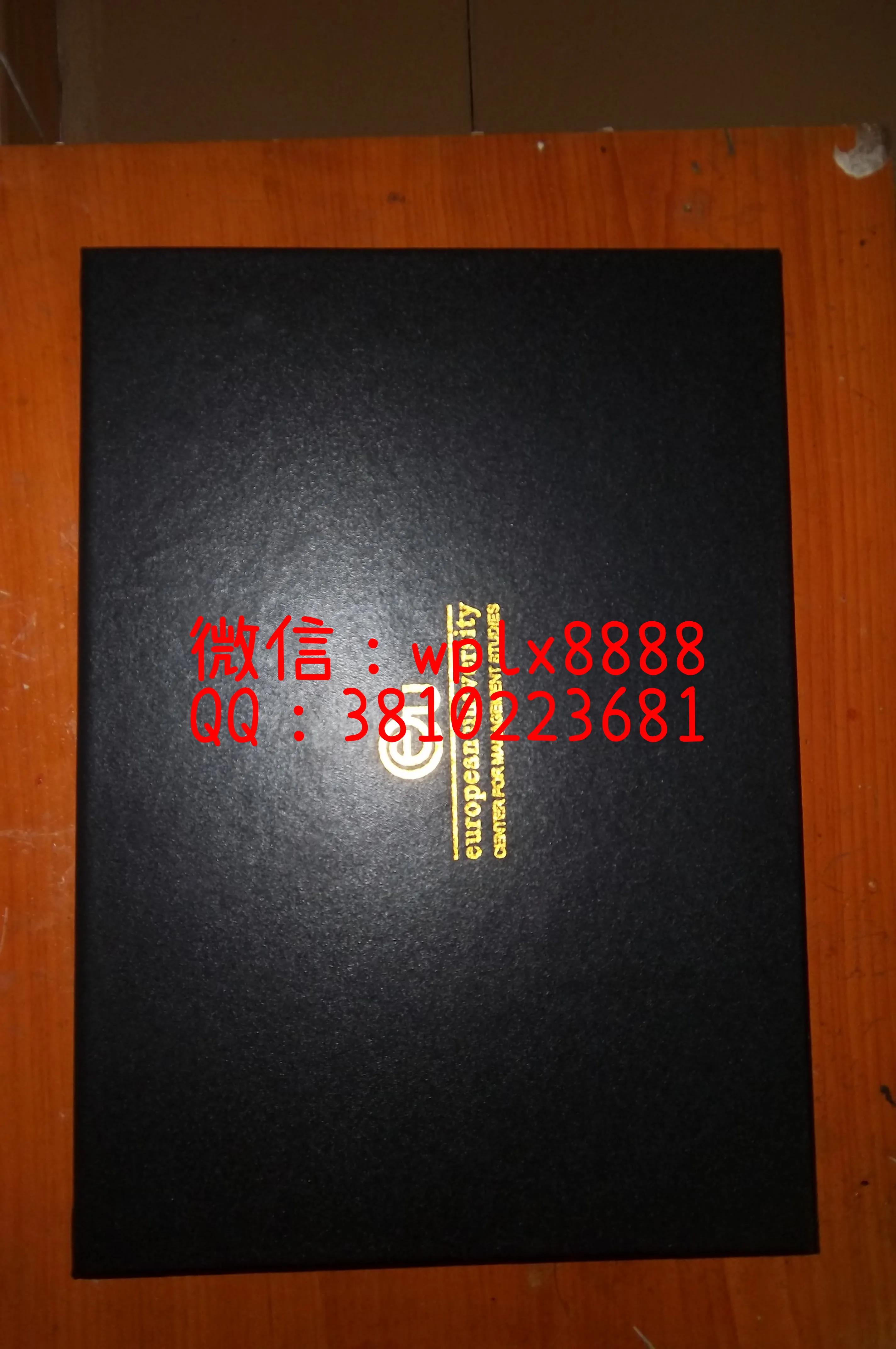 瑞士欧洲大学外壳