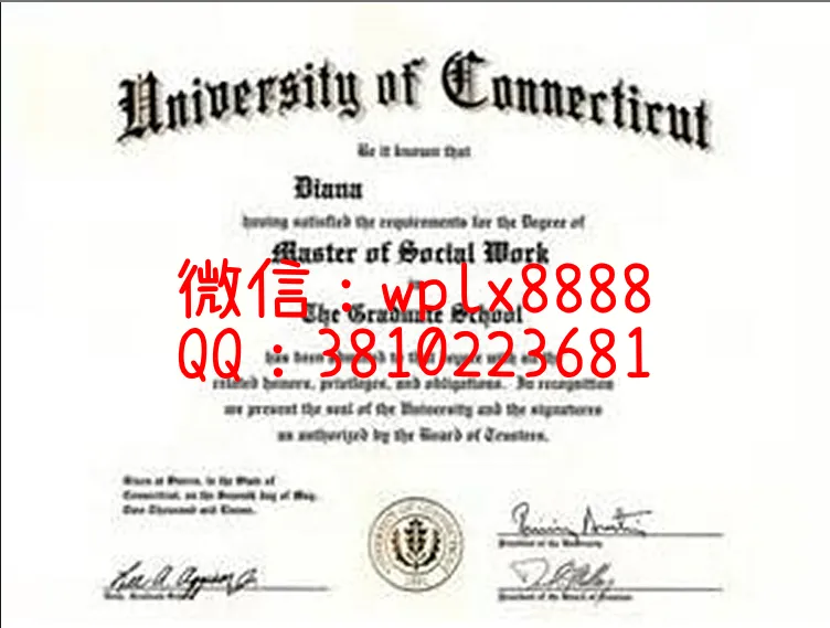 康涅狄格大学毕业证