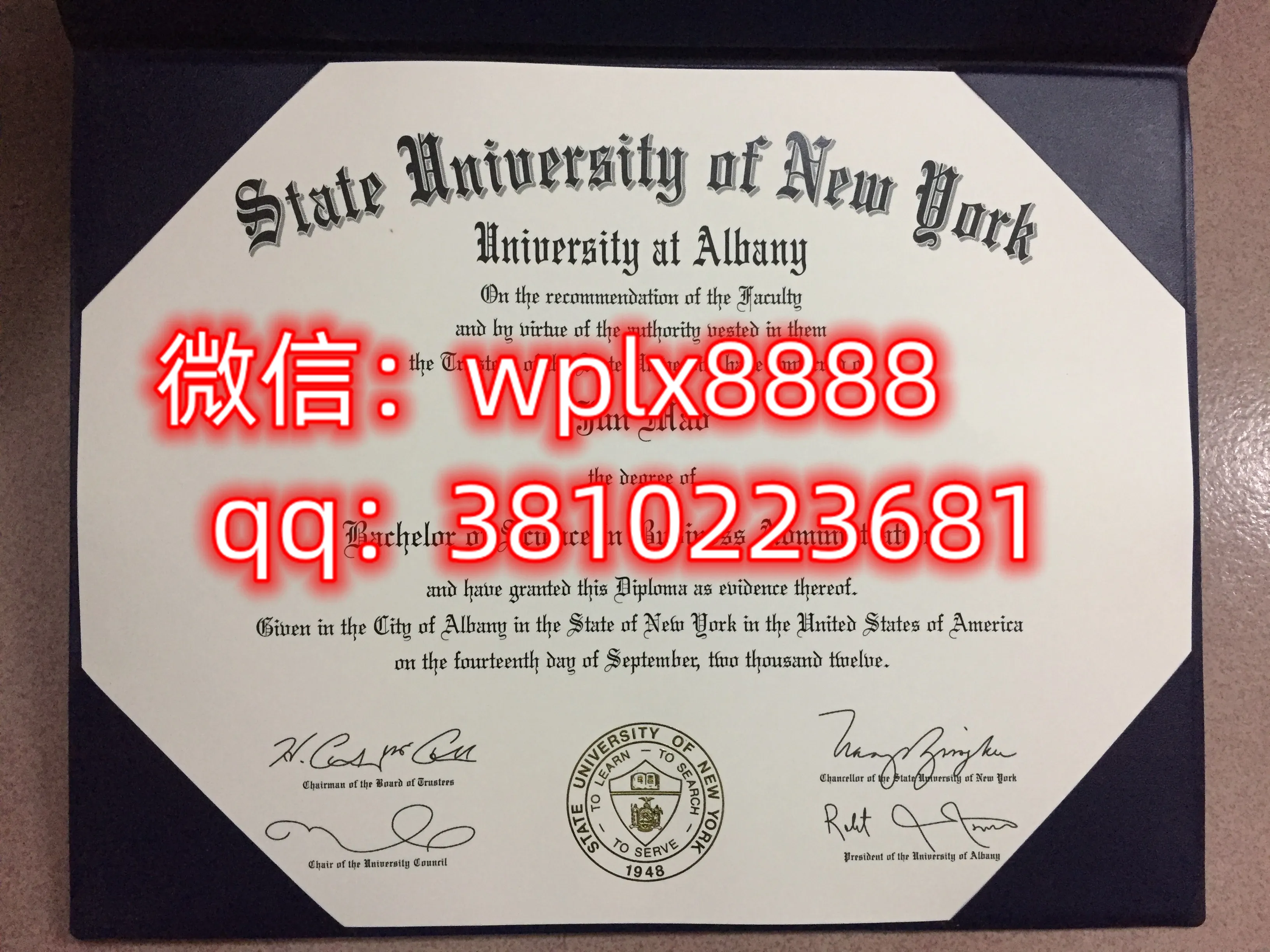 纽约州立大学奥尔巴尼分校