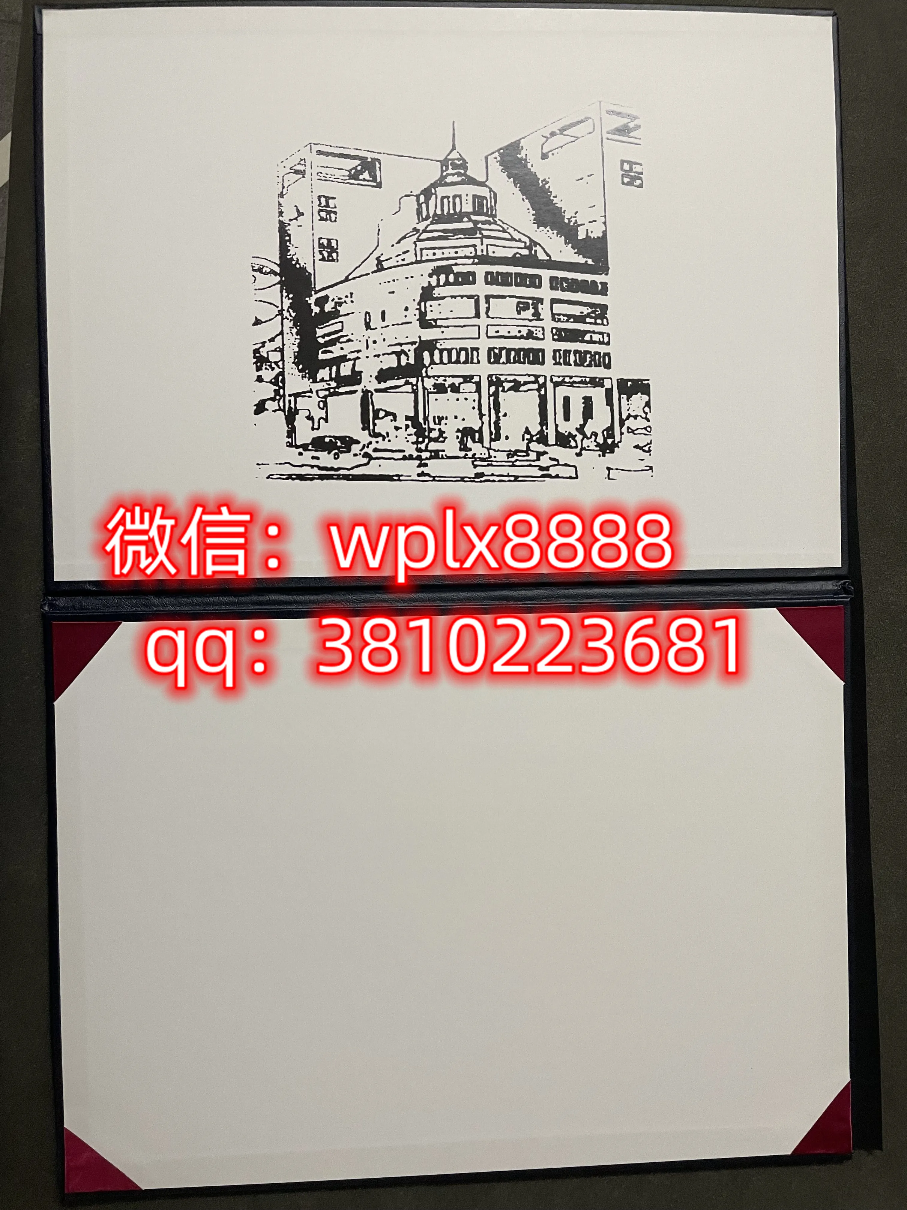 香港浸会大学