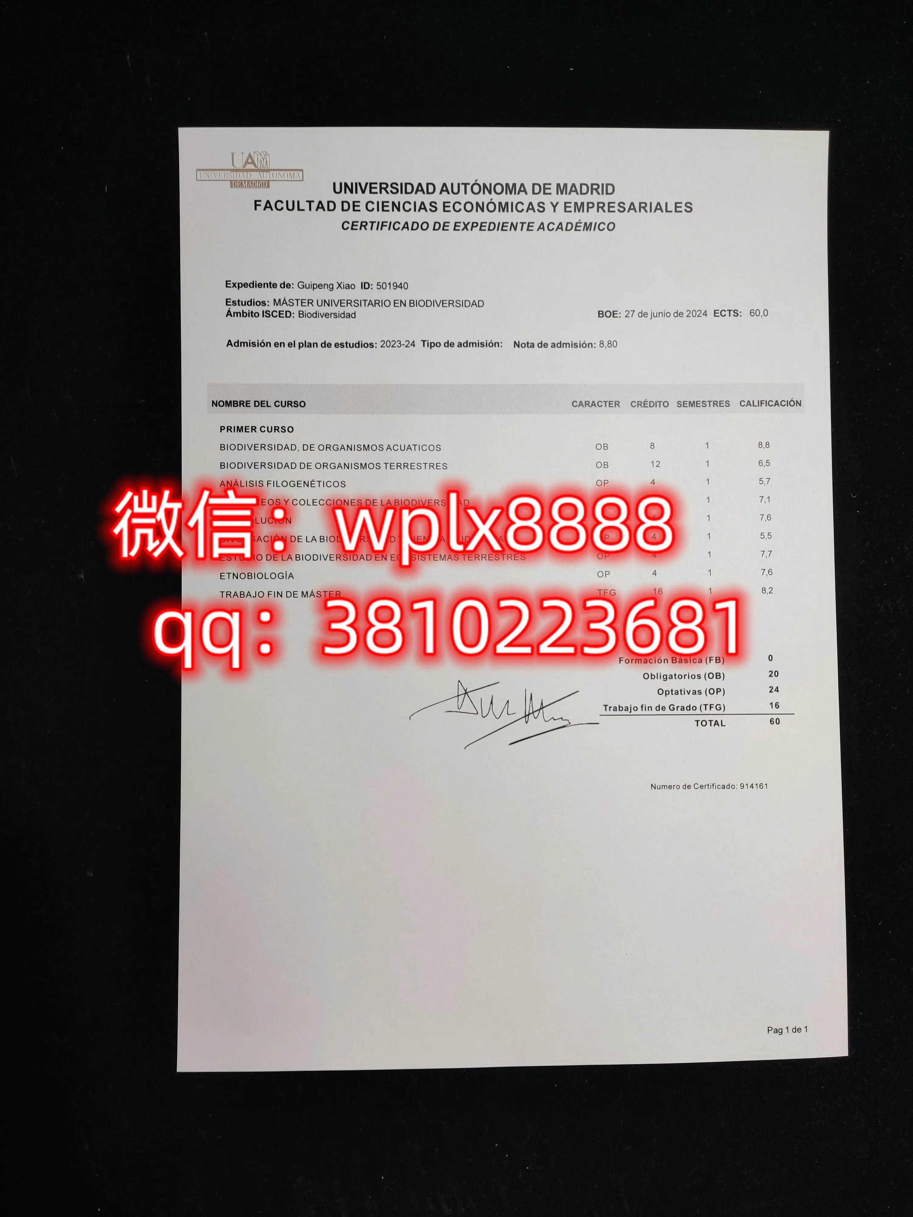 马德里自治大学