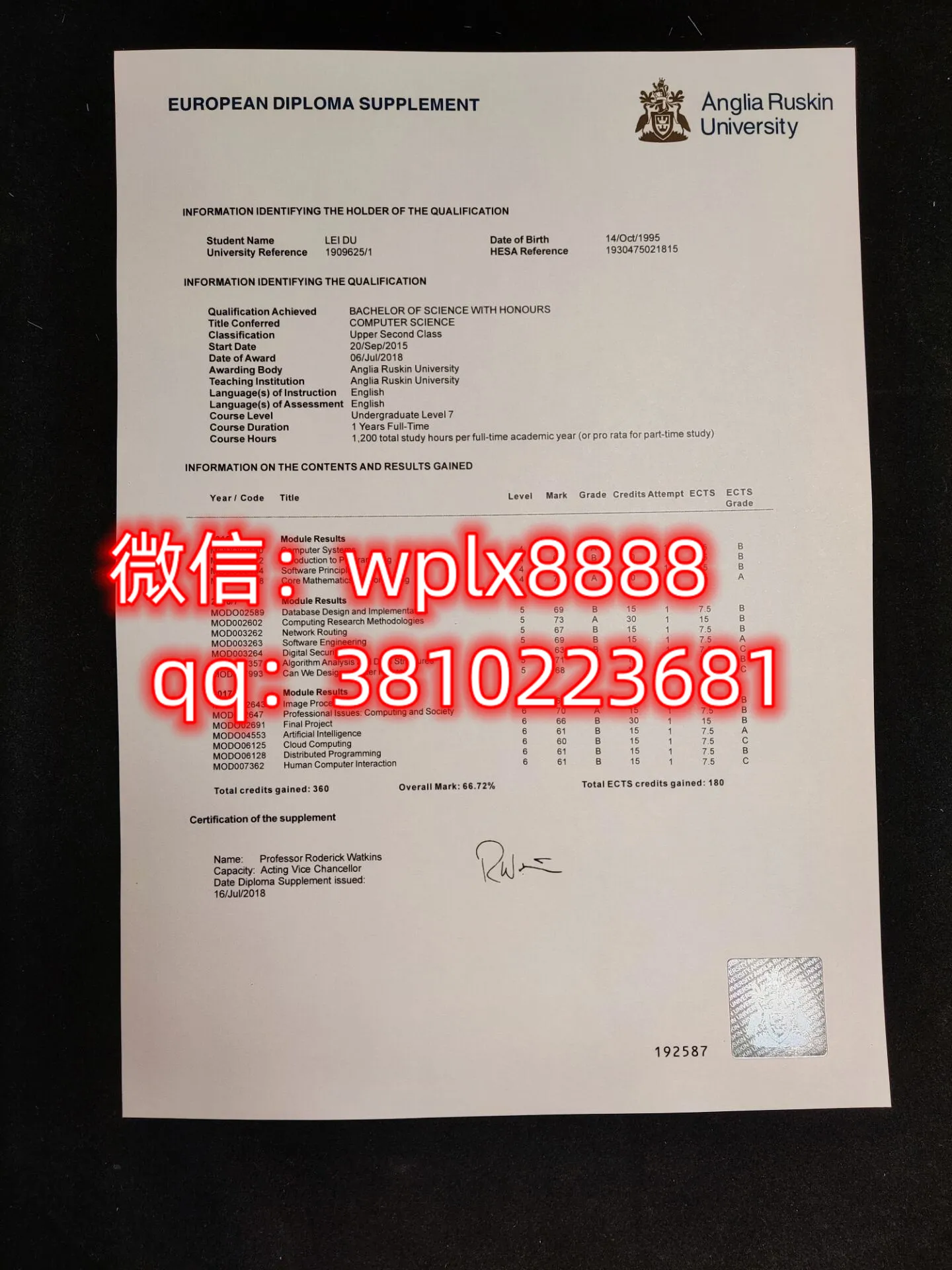 安格利亚鲁斯金大学