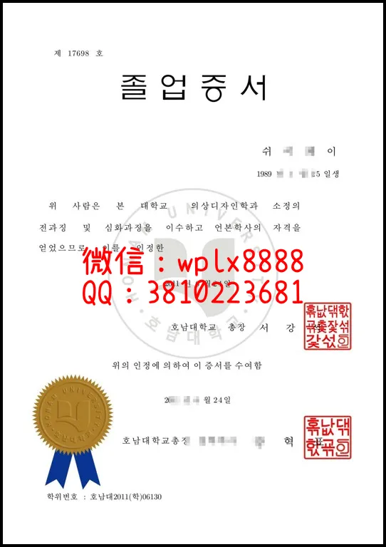 韩国湖南大学1_副本-副本